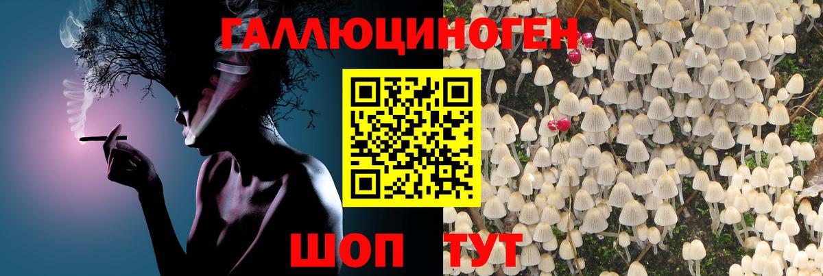 Кропоткин  Галлюциногенные грибы Magic Shrooms  продажа наркотиков  Псилоцибиновые грибы ЛСД  Вход с VPN 